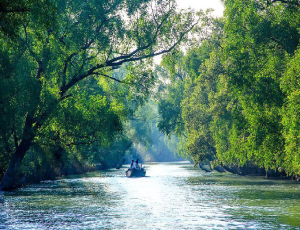 Sundarbon Tour